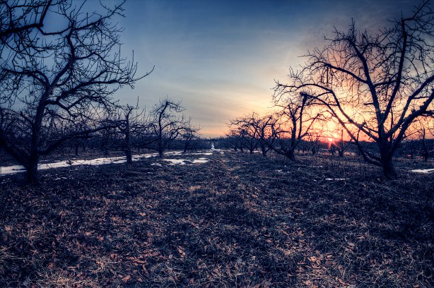 Spring is just around the corner...and then SUMMER!