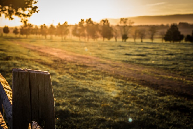 To me, when I see this, I see a perfect desktop background image.  Order a print of this image.