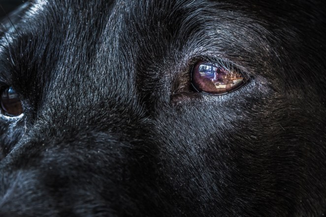 A new twist on the ever-popular selfie.  I just always have to be slightly different.