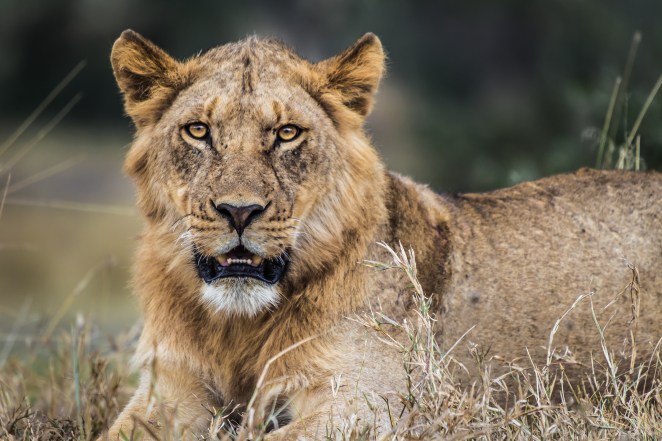 Order a print of this image.