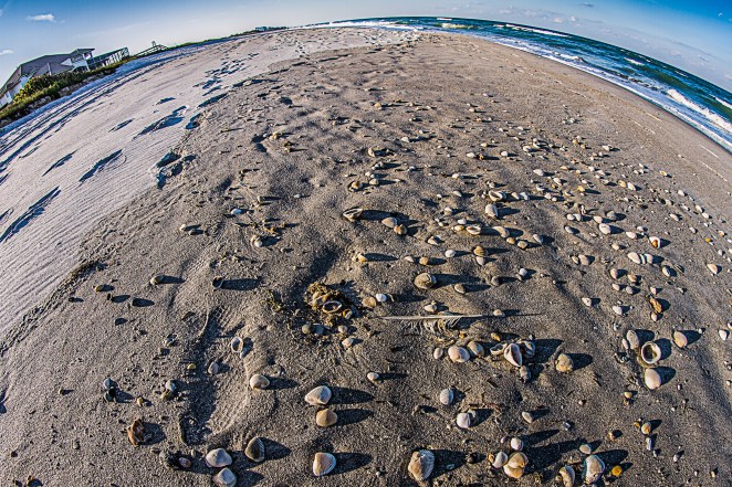 I usually try to avoid this look, but was just having fun here with this one.