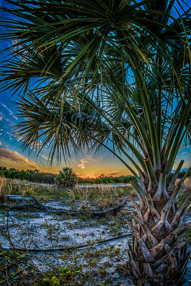How timely is this?  Another great sunset captured.  Order a print of this image.