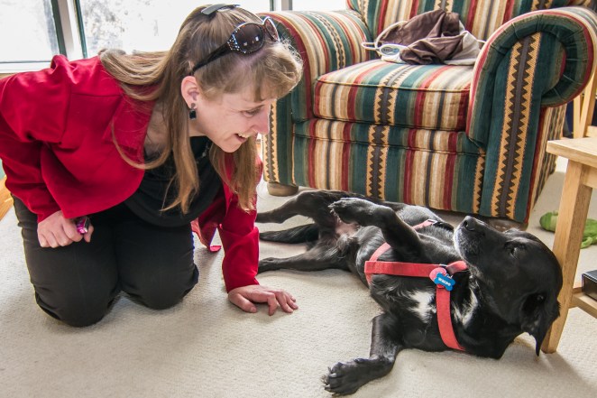 I had to take their picture because they have the same taste in colors.