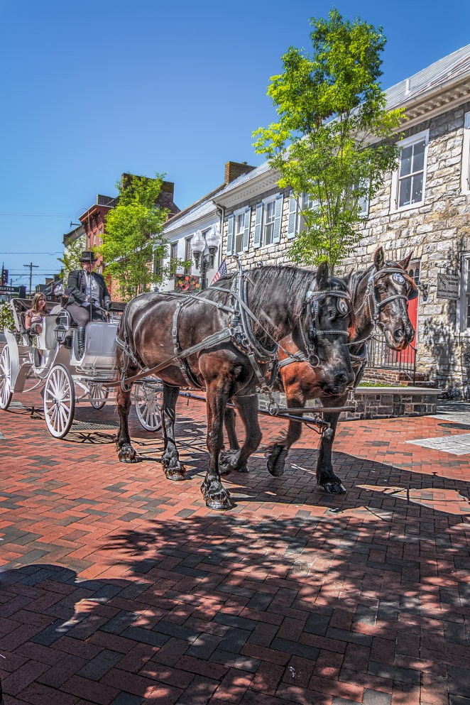 The Hansom Cab - designed and patented in 1834 by Joseph Hansom, an architect from York.  Now you know.