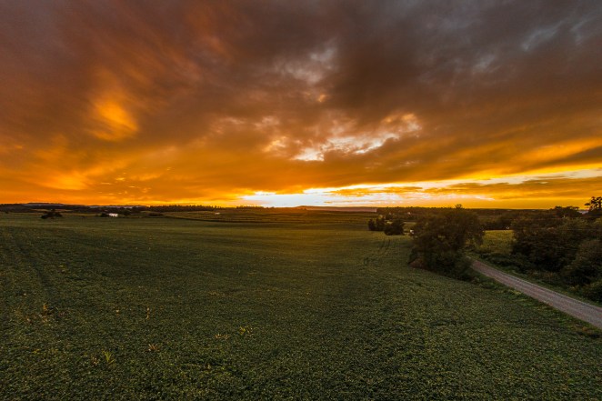 Order a print of this image.