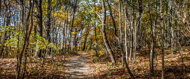 Bears Den Nature Trail