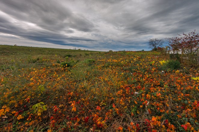 Our colorful section of I-81 near mile marker 309.