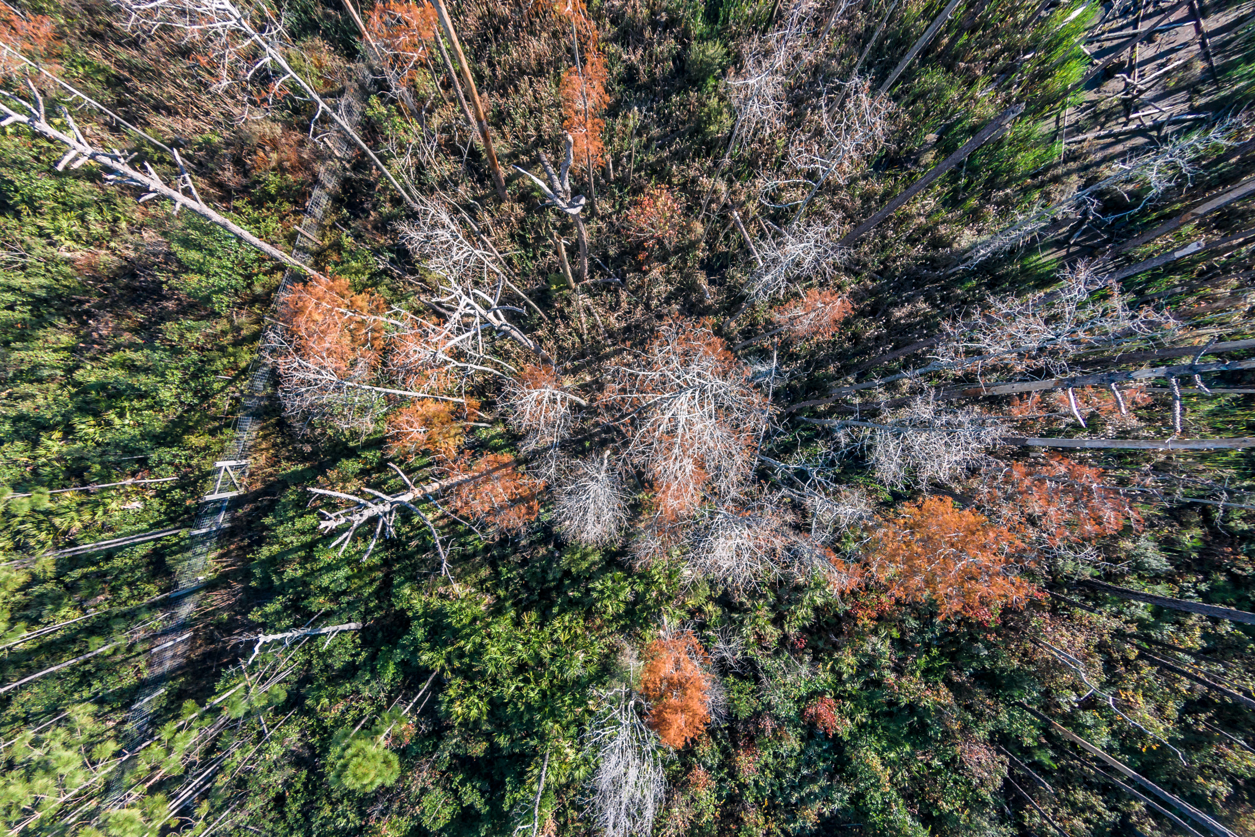 Our first rest stop on the way home from Florida.