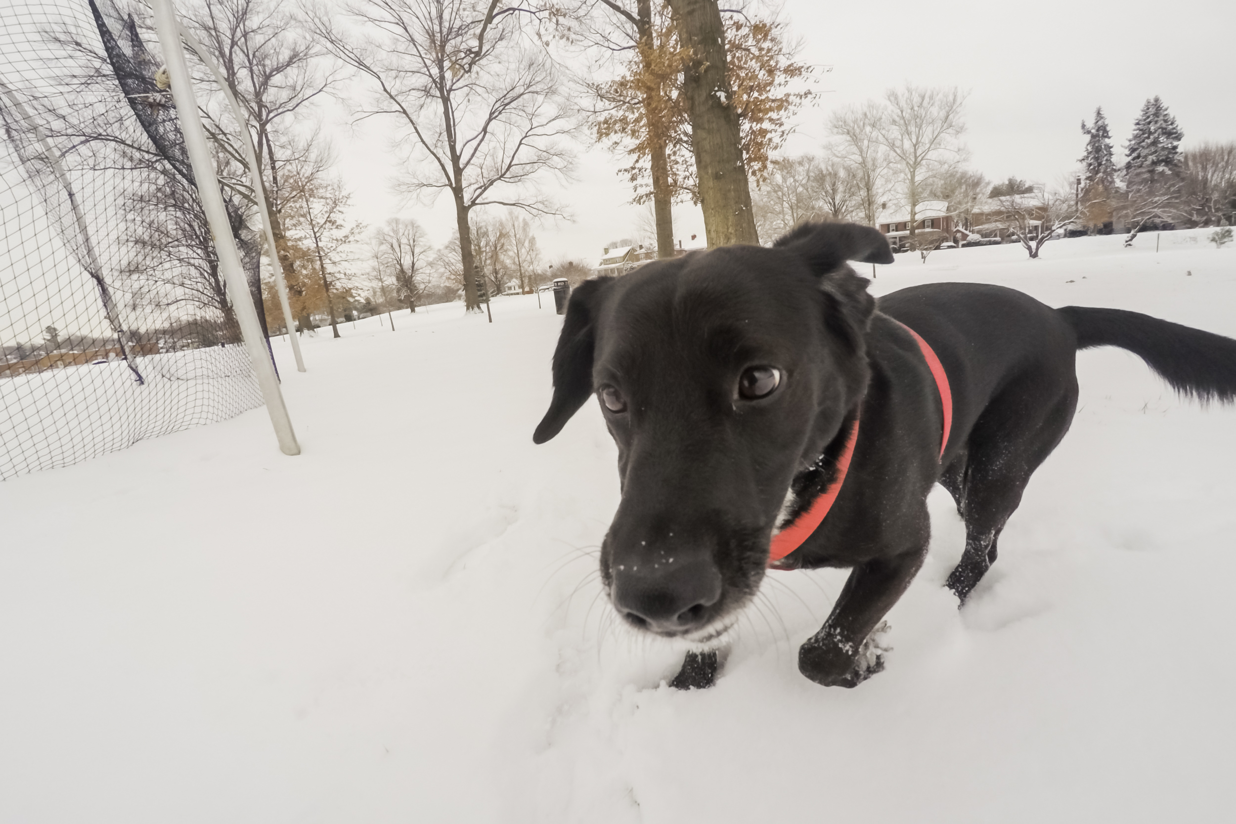 Snow day fun at Handley