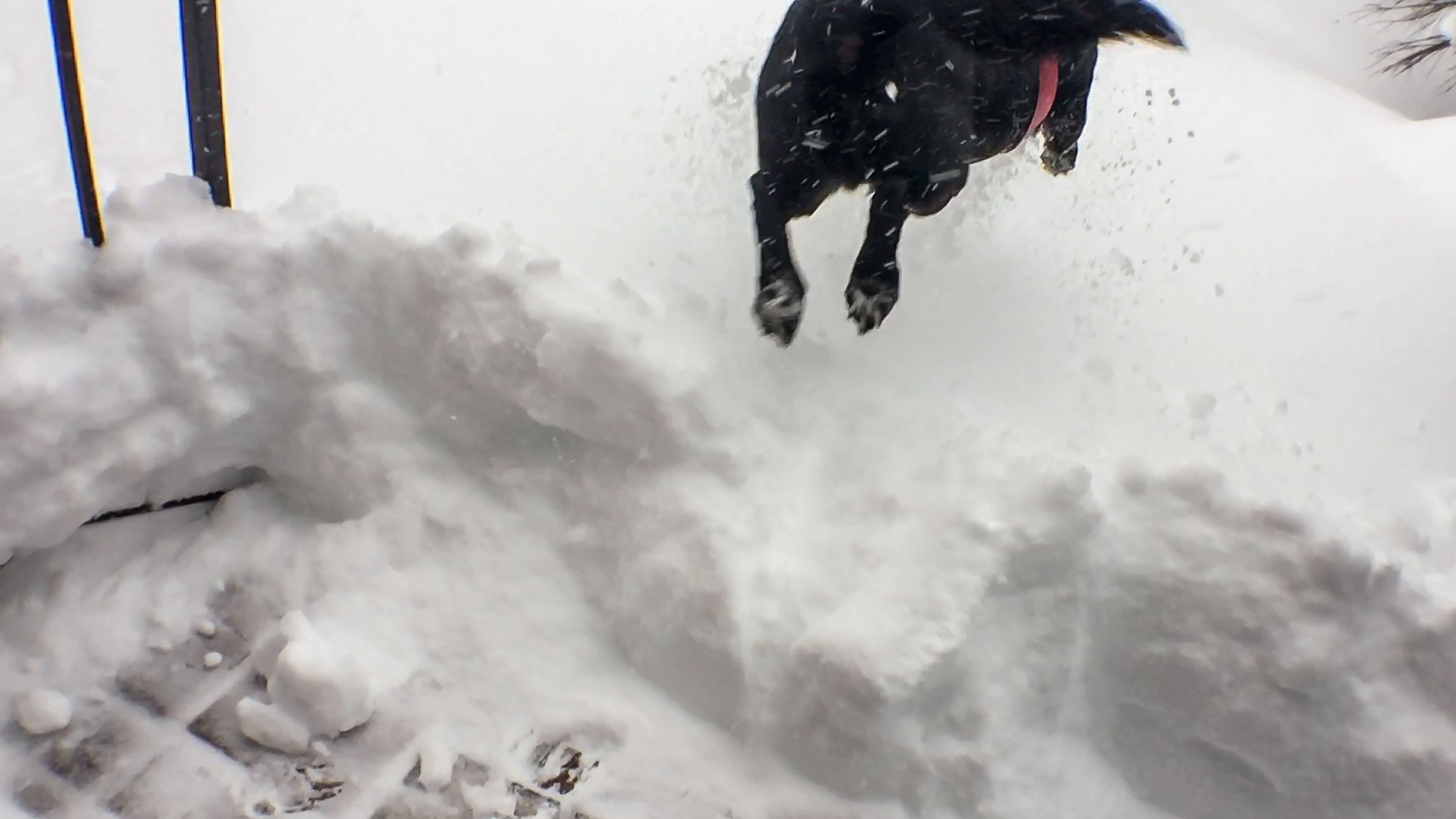 20160123-IMG_1982_104